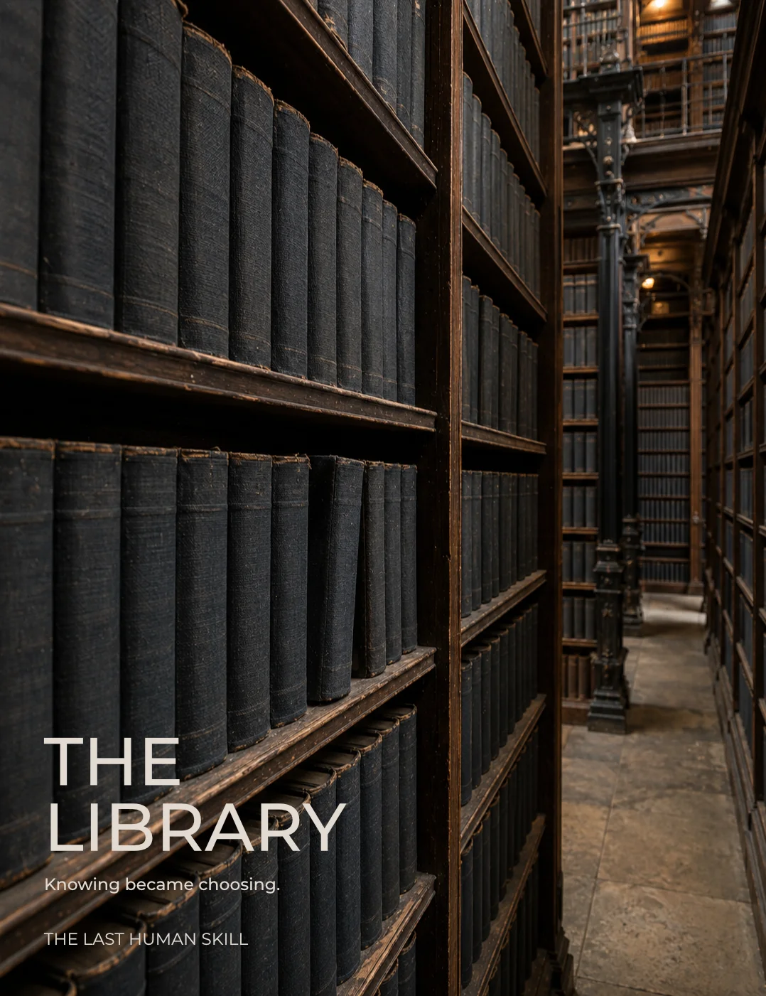 THE LIBRARY